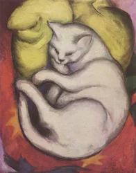 Tomcat on Yellow Cushion